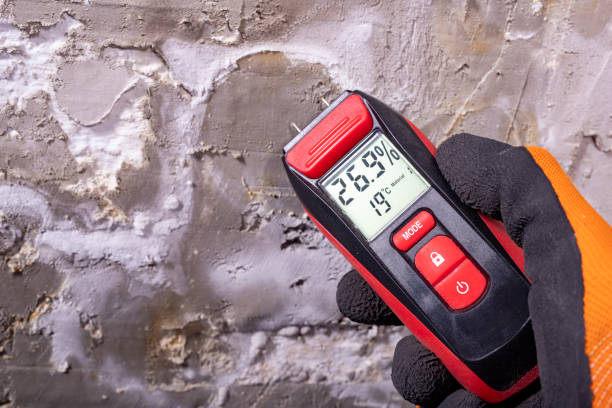 Best Certified Mold Removal  in Lake Station, IN
